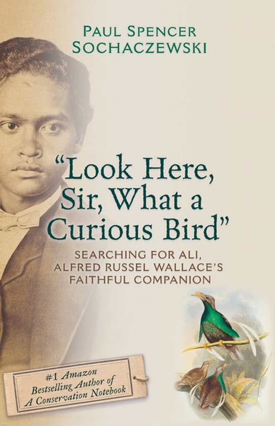 "Look Here, Sir, What a Curious Bird" - cover