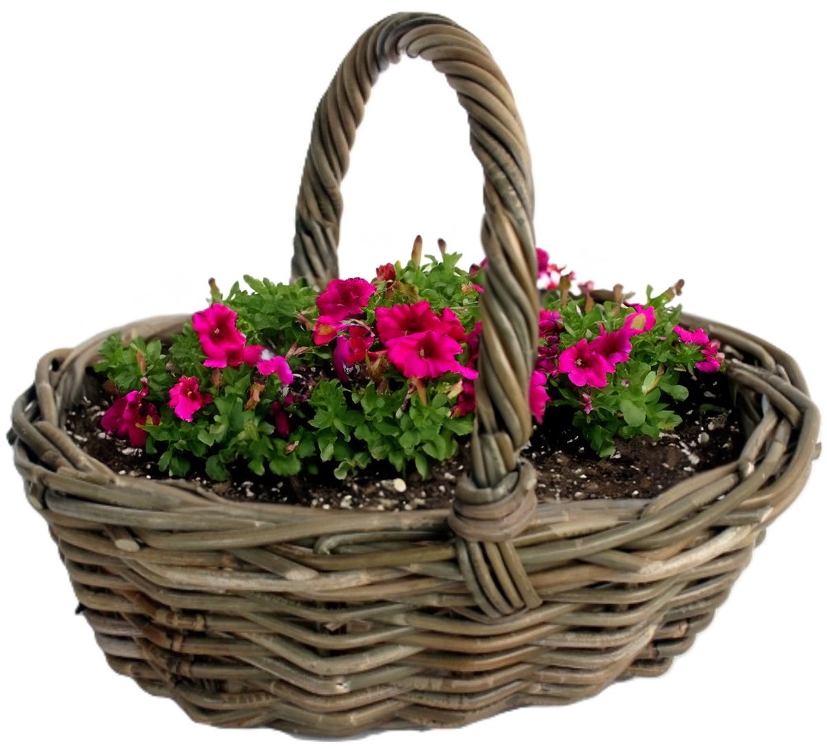 Van der Leeden Plantenmand met hengsel - bruin - 36 x 28 x 14 cm - rotan - gevlochten riet - plantenpot/bloempot