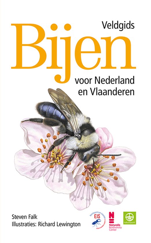 Veldgids Bijen voor Nederland en Vlaanderen - cover