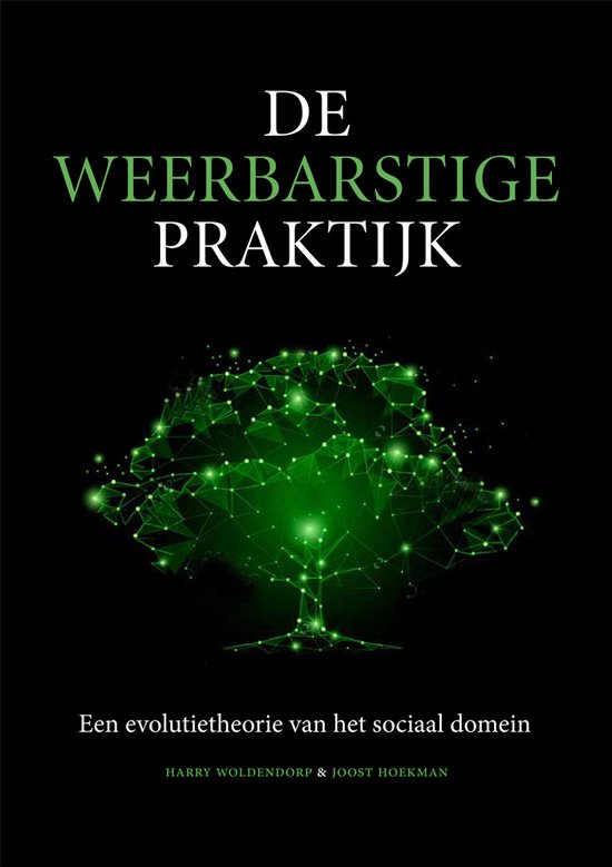 De weerbarstige praktijk - cover