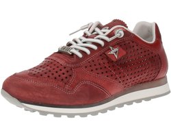 Cetti C-848 EXP V25 - Herensneaker - Tweedehands-Tin-Burdeos