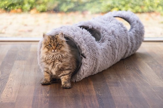 Grijs pluizige kattentunnel met een cyperkat die erin zit.