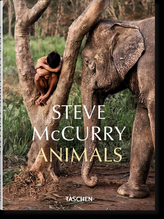 Steve McCurry - cover