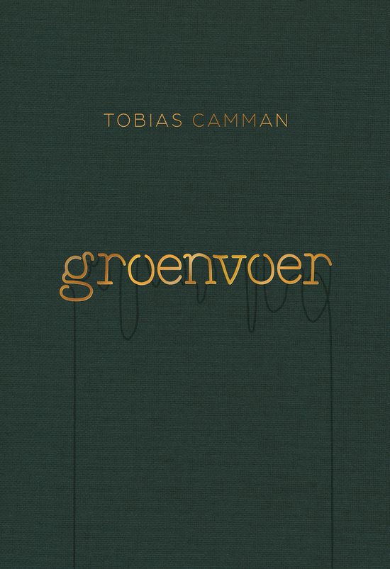 Groenvoer