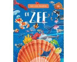 Wat, hoe, waarom - De Zee