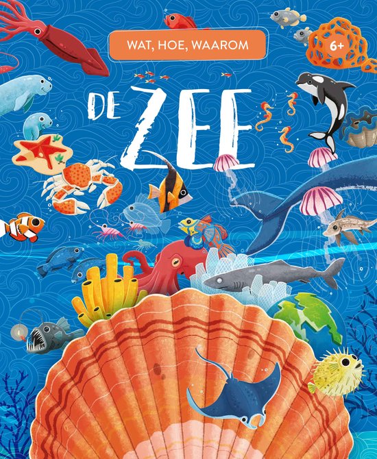 Wat, hoe, waarom - De Zee - cover