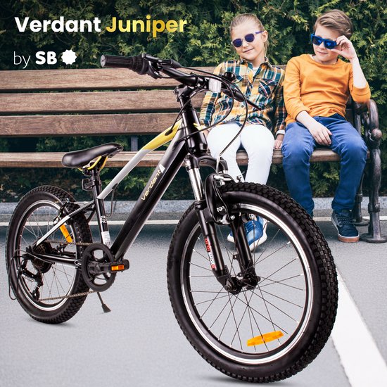 Verdant Kinderfiets voor jongens van 6 tot 10 jaar, 20 inch, 6 versnellingen, Shimano kinderfiets, verstelbare hoogte (Zwart en Goud) van Verdant — afbeelding 2