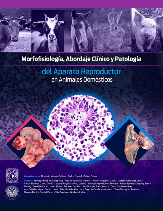 Morfofisiología, abordaje clínico y patología del aparato ... - cover