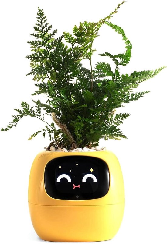 Bonsai bemesten (voeding) - Bonsai Empire