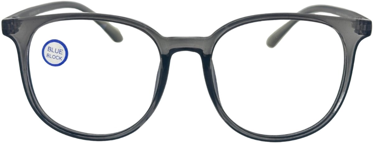 Fangle Computerbril Big Round Gray +2.0