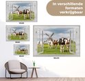 Product afbeelding  10