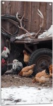 Tuinposter – Groepje Kippen Lopend bij Wagen op Boerderij - 50x100 cm Foto op Tuinposter (wanddecoratie voor buiten en binnen)