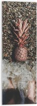 Acrylglas - Ananas op Kiezelstrand - 30x90 cm Foto op Acrylglas (Met Ophangsysteem)