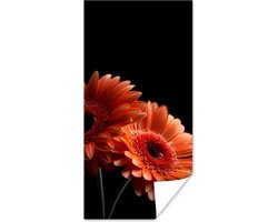 Poster Bloemen - Botanisch - Gerbera - Oranje - Zwart - 20x40 cm