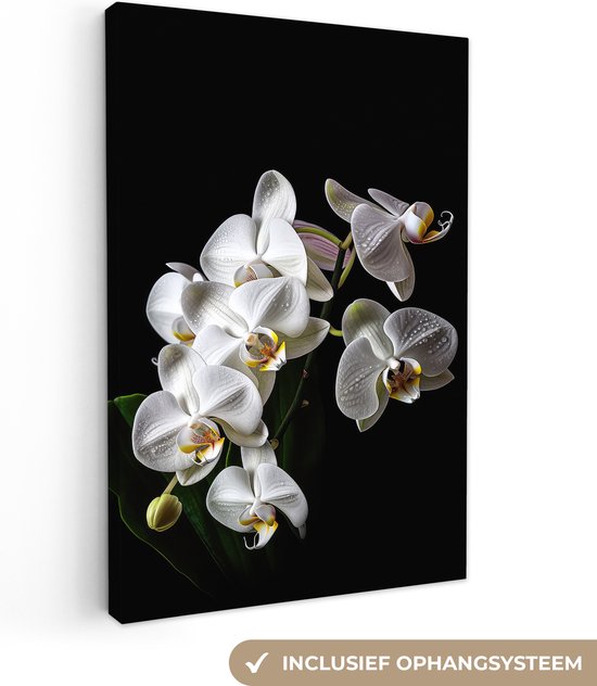 Tableau sur toile Orchidée - Fleurs - Wit - Nature - Zwart - 80x120 cm - Décoration murale