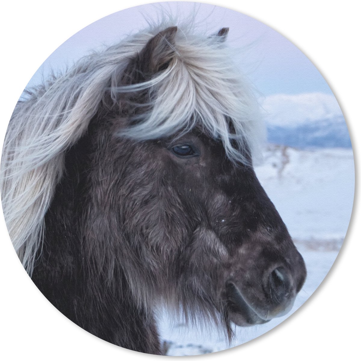 Muismat rond 40x40 cm - Mousepad Paard - Sneeuw - IJsland - Ronde muismatten