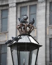 IXXI Doves on Dam Square, Edwin Fotografeert & Kunst in Kaart - 80 x 100 cm - Gratis ophangtool - Grote wanddecoratie en posters - Fotografie