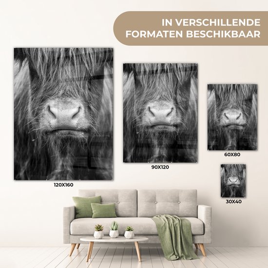 MuchoWow® Tableau sur verre 30x40 cm - Tableau sur verre acrylique - Highlander écossais - Vache - Zwart - Wit - Animaux - Photo sur verre - Décoration murale salon - Décoration murale chambre - Peintures