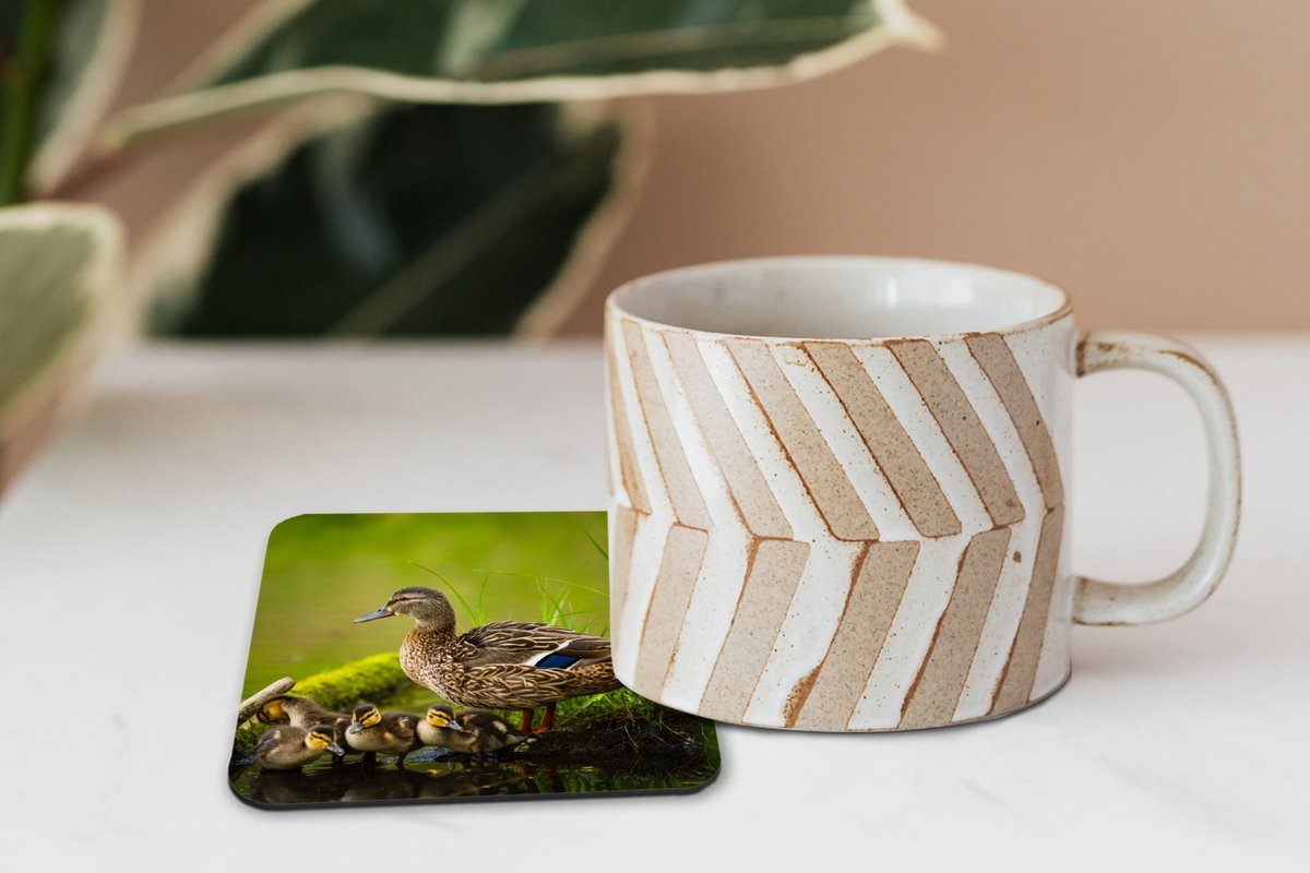 Onderzetters voor glazen - Eend - Vogels - Water - Tak - Mos - 10x10 cm - Glasonderzetters - 6 stuks
