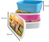 Lunch box Blauw - Lunch box - Boîte à pain - Chats - Papillon - Coucher de soleil - Herbe - Nature - 18x12x6 cm - Enfants - Garçon