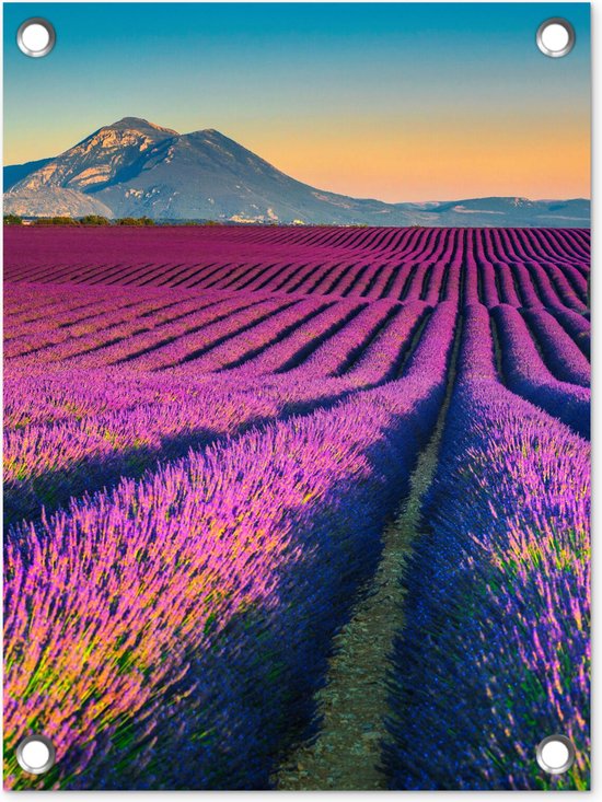Gards Tuinposter Lavendel Bloemen in de Bergen - Abstract - 150x100 cm