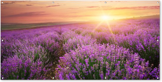 Tuinposter - Bloemen - Lavendel - Zon - Wanddecoratie - 200x100 cm - Tuindoek - Muurdecoratie