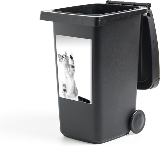 Container sticker Spelende kat op witte achtergrond - zwart wit - 40x60 cm - Kliko sticker