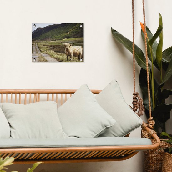 Décoration de Jardin Highlander écossais - Chemin - Forêt - 40x30 cm - Toile de jardin - Poster extérieur