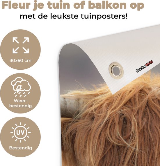 Affiche de jardin Highlander écossais - Cornes - Cheveux - 30x60 cm - Toile de jardin - Affiche extérieure