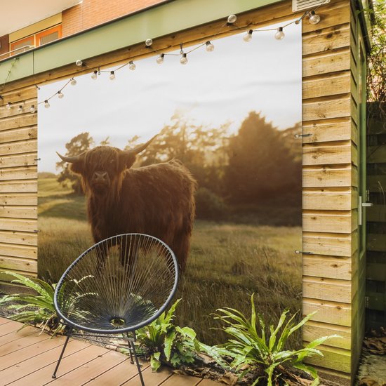 Tuinposter 200x200 cm - Tuindecoratie Schotse hooglander - Gras - Zon - Poster voor in de tuin - Buiten decoratie - Schutting tuinschilderij - Tuindoek muurdecoratie - Wanddecoratie balkondoek