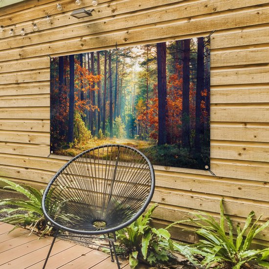 Affiche jardin - Toile jardin - Affiches jardin extérieur - Forêt - Soleil - Nature - Automne - Posters de jardin cm - Jardin