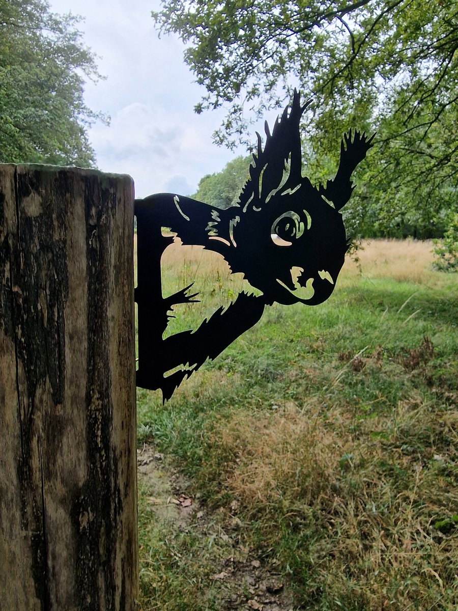 Zwart Metalen - Eekhoorn - Squirrel - Metalen Eekhoorn - Tuin Beeldl - Tuin Hanger - Tuindecoratie - Metal Bird - Garden Ornament