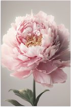 Poster Glanzend – Roze Pioenroos - 50x75 cm Foto op Posterpapier met Glanzende Afwerking
