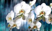 Fotobehang - Vlies Behang - Witte Orchideeën - Bloemen - 208 x 146 cm