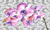 Fotobehang - Vlies Behang - Orchidee voor Bakstenen Muur - Bloemen - 312 x 219 cm