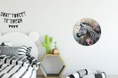 WallCircle - Muurstickers - Behangcirkel - Zebra - Wilde dieren - Vlinder - Bloemen - 30x30 cm - Muurcirkel - Zelfklevend - Ronde Behangsticker