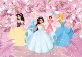 Fotobehang - Vlies Behang - Disney Prinsessen voor het Sprookjeskasteel - Sprookjesprinsessen - 520 x 318 cm