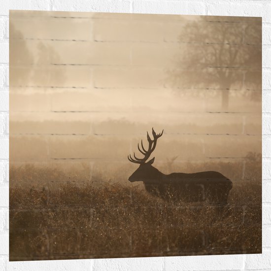 Muursticker - Hert in mistige omgeving in een weiland met hoog gras - 80x80 cm Foto op Muursticker