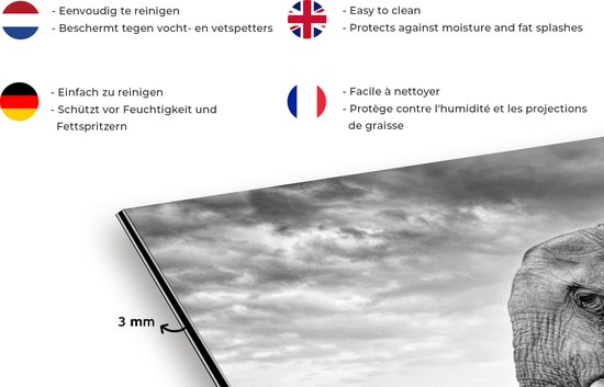 Spatscherm keuken 120x80 cm - Kookplaat achterwand Olifant - Gras - Dieren - Zwart wit - Muurbeschermer - Spatwand fornuis - Hoogwaardig aluminium