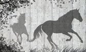 Horses Tree Leaves Wall Photo Wallcovering