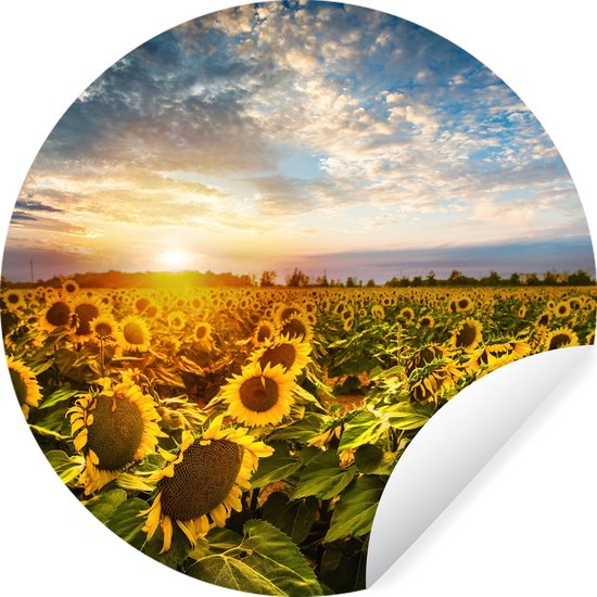WallCircle - Stickers muraux - Cercle de papier peint - Fleurs - Tournesol - Ciel - ⌀ 30 cm - Cercle mural - Autocollant - Autocollant papier peint rond