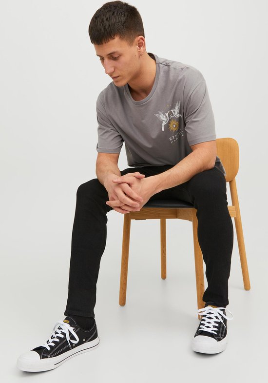 Grijze T-shirt met een print van twee duiven, een zon en maan. Gedragen door een man die zit.