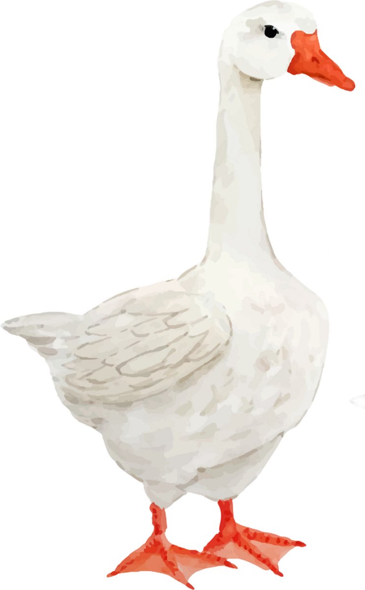 Jojo de gans - Dieren muursticker