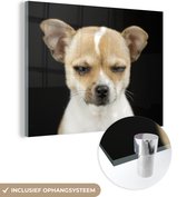 MuchoWow® Glasschilderij 80x60 cm - Schilderij acrylglas - Hond - Huisdieren - Portret - Foto op glas - Schilderijen