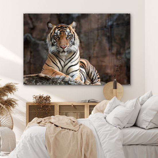 MuchoWow® Peinture sur verre - Tigre - Rocher - Montagnes - 180x120 cm - Peintures sur verre acrylique - Photo sur Glas