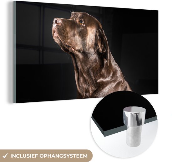 MuchoWow® Glasschilderij 120x60 cm - Schilderij acrylglas - Hond - Bruin - Portret - Foto op glas - Schilderijen