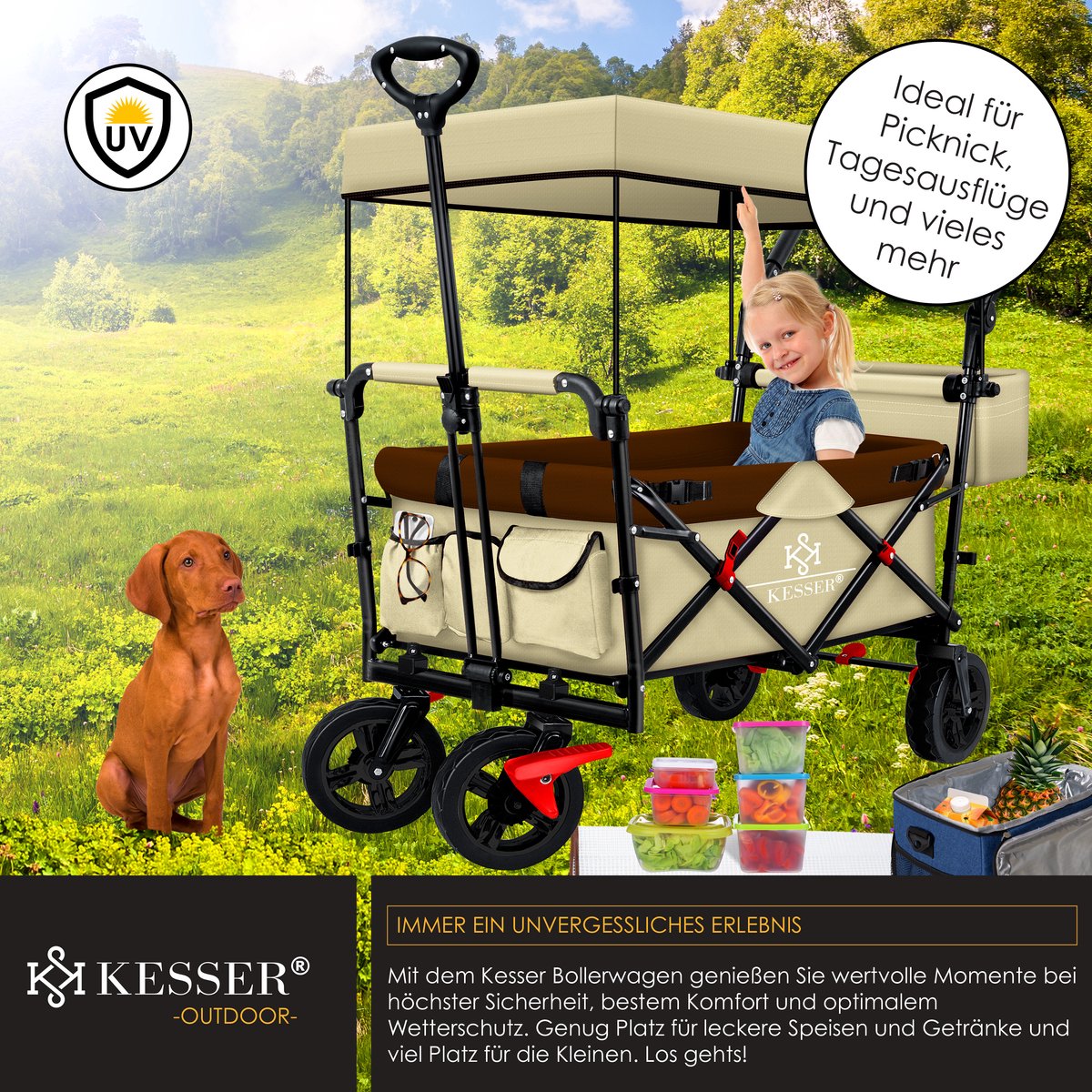 KESSER® Opvouwbare Handkar GT9000 Met Dak Transportwagen Incl 2x 3 Punts Gordelsysteem Opvouwbaar Massief Rubberen Banden Tot 80 Kg Voor En Achter Rem Draagtas Grijs 629656921