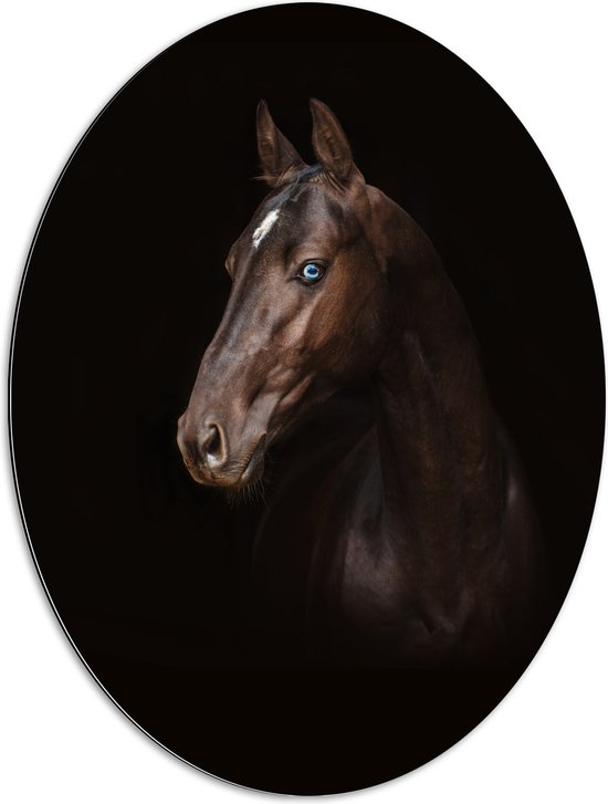 Dibond Ovaal - Donkerbruin Paard met Witte Bles in Donkere Omgeving - 60x80 cm Foto op Ovaal (Met Ophangsysteem)