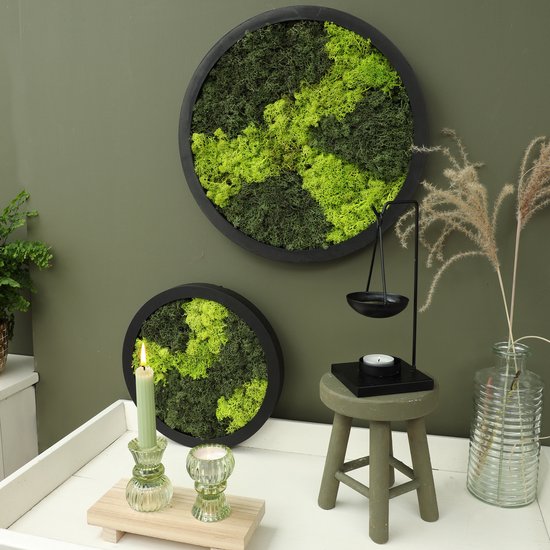 Comforder Moss Painting - Mur de Mousse de Renne - Décoration murale Sans Entretien - Rond Ø38cm