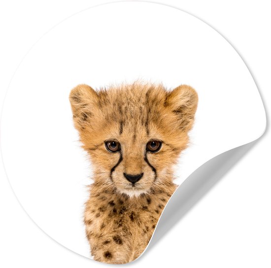 Papier peint autocollant enfant - Décoration chambre - Animaux - Enfants - Léopard - Garçon - Fille - 30x30 cm - Décoration murale chambre d'enfant - Décoration murale garçons